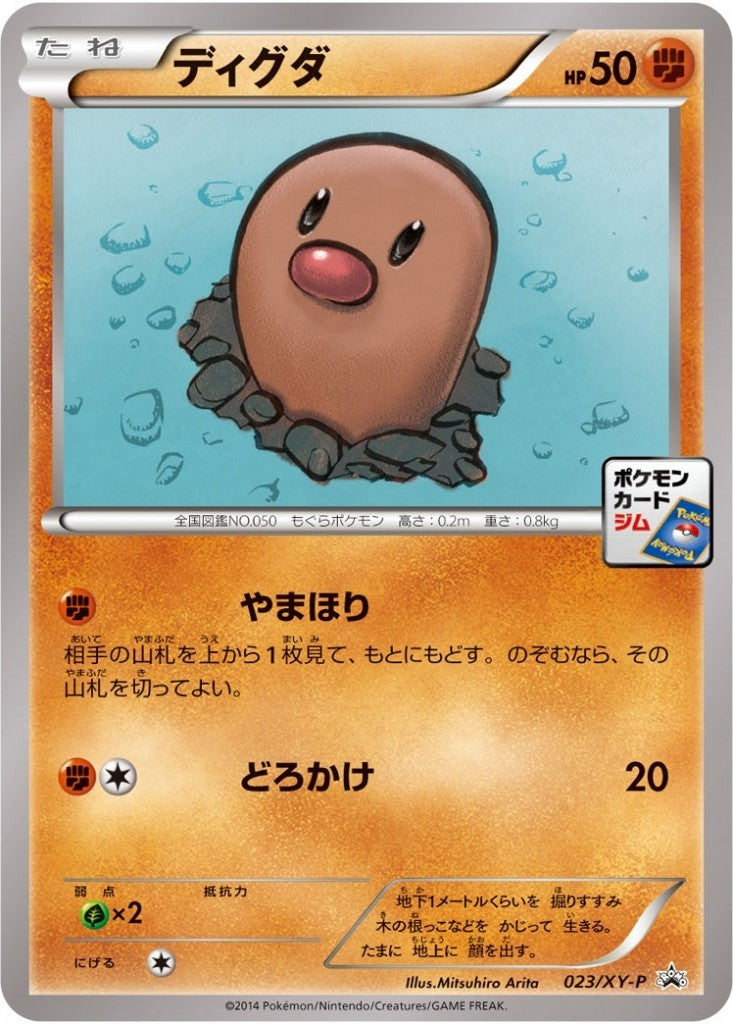 TS023/XY-P ディグダ